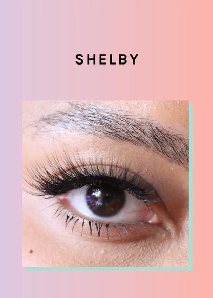 Lashes 3D Faux Mink Shelby